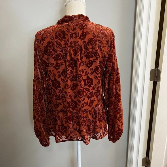 By Anthropologie Velvet Tie-Neck Blouse Size Medium - Picture 5 of 11